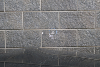 メルセデスベンツ Eクラス E220d ｽﾃｰｼｮﾝﾜｺﾞﾝ ｽﾎﾟｰﾂ　後期型 ｴｸｽｸﾙｰｼﾌﾞPKG ｴｱﾊﾞﾗﾝｽPKG ﾚｰﾀﾞｰｾｰﾌﾃｨPKG ﾊﾟﾉﾗﾏSR 茶ﾅｯﾊﾟ革 ｼｰﾄﾋｰﾀ 純正ﾅﾋﾞ地ﾃﾞｼﾞ 360°ｶﾒﾗ MBUX ARﾅﾋﾞｹﾞｰｼｮﾝ Burmester Applecarplay ﾜｲﾔﾚｽﾁｬｰｼﾞﾝｸﾞ HUD PTS AMG19ｲﾝﾁAW　2年保証