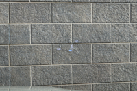 メルセデスベンツ GLC GLC220d 4MATIC AMGﾗｲﾝ　後期型 ﾚｻﾞｰｴｸｽｸﾙｰｼﾌﾞPKG ﾚｰﾀﾞｰｾｰﾌﾃｨPKG ｴｱﾊﾞﾗﾝｽPKG ﾊﾟﾉﾗﾏSR 黒革ｼｰﾄ ｼｰﾄﾋｰﾀ ﾍﾞﾝﾁﾚｰﾀ MBUX 純正10.25ｲﾝﾁﾅﾋﾞ地ﾃﾞｼﾞ ｺｯｸﾋﾟｯﾄDisp 360°ｶﾒﾗ Burmester PTS 電動Rｹﾞｰﾄ HUD AMG19ｲﾝﾁAW　2年保証