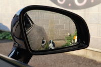 メルセデスベンツ SLCクラス SLC180 ｽﾎﾟｰﾂ ﾚｯﾄﾞｱｰﾄｴﾃﾞｨｼｮﾝ　限定車 ﾚｯﾄﾞｱｸｾﾝﾄ ﾚｰﾀﾞｰｾｰﾌﾃｨPKG AMGｽﾀｲﾘﾝｸﾞPKG 黒革ｼｰﾄ ｼｰﾄﾋｰﾀｰ ｴｱｽｶｰﾌ 純正ﾅﾋﾞ地ﾃﾞｼﾞ Bﾓﾆﾀｰ AppleCarPlay  ｷｰﾚｽGO ｽﾎﾟｰﾂｻｽﾍﾟﾝｼｮﾝ 専用AMG18AW　2年保証